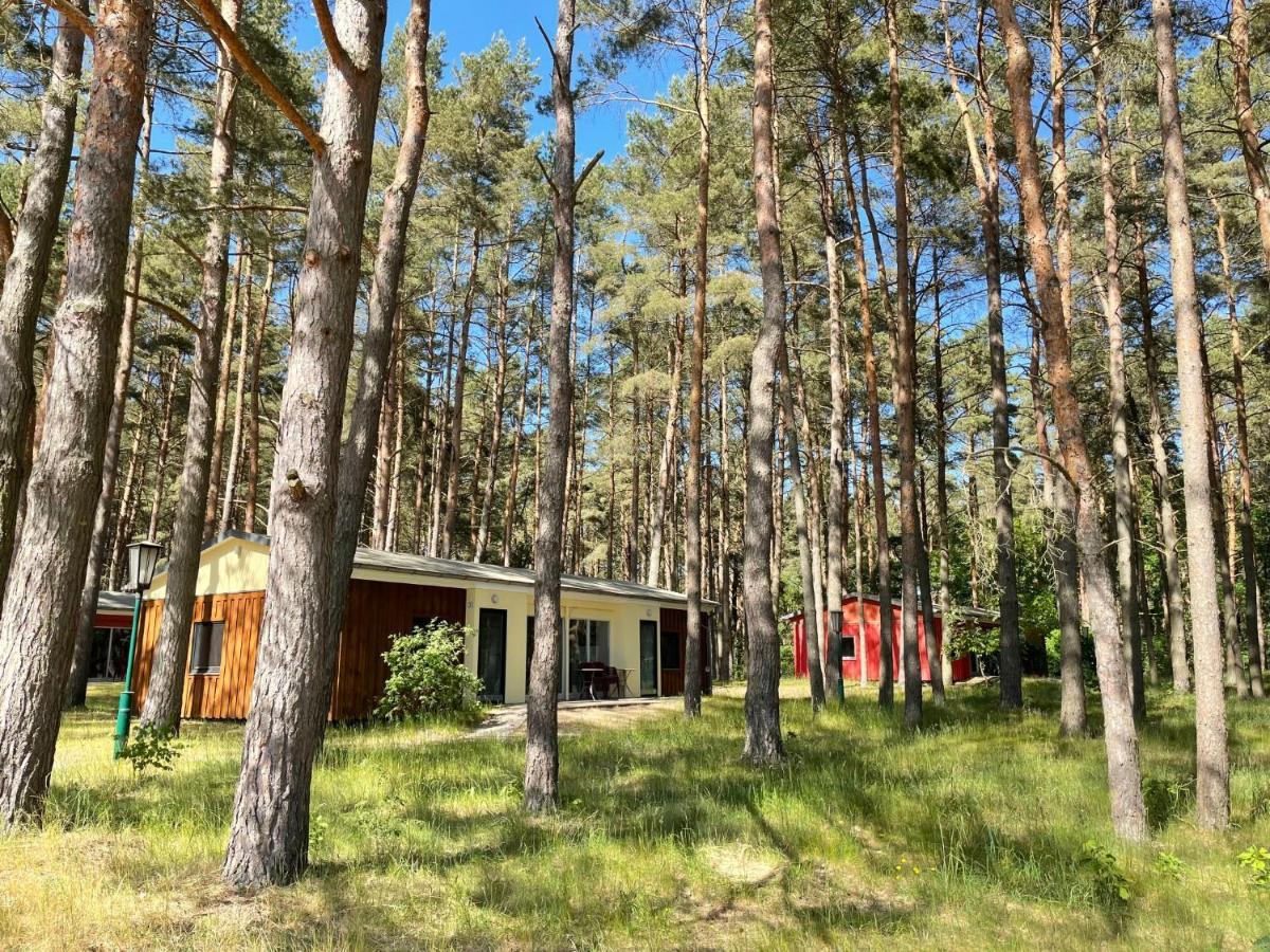 Holiday Home Silz Am Fleesensee-1 By Interhome Zewnętrze zdjęcie